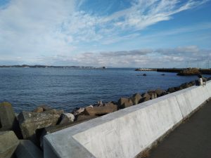花渕小浜漁港周辺（宮城・七ヶ浜）