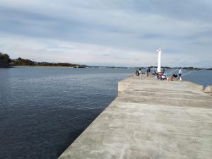 花渕小浜漁港周辺（宮城・七ヶ浜）