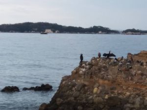 花渕小浜漁港周辺（宮城・七ヶ浜）